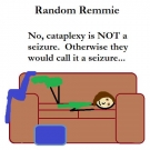 random-remmie-cataplexy-seizure