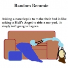 random-remmie-make-bed
