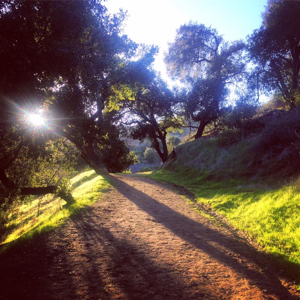 griffith-park-trail-julie-flygare-narcolepsy-runner